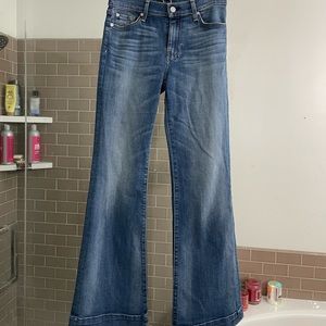 7 for all mankind dojo 27x31